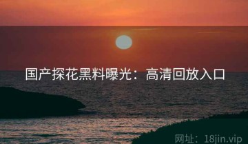 国产探花黑料曝光：高清回放入口