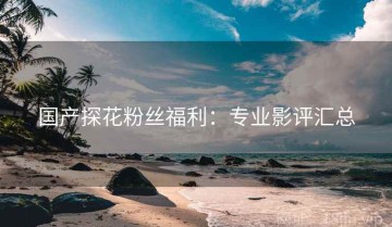 国产探花粉丝福利：专业影评汇总