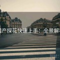国产探花快速上手：全景解析