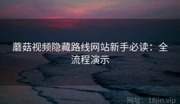 蘑菇视频隐藏路线网站新手必读：全流程演示