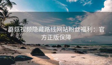 蘑菇视频隐藏路线网站粉丝福利：官方正版保障