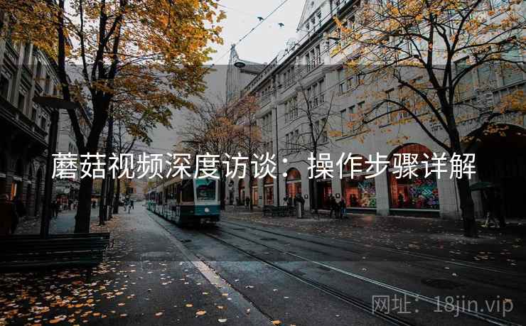 蘑菇视频深度访谈：操作步骤详解